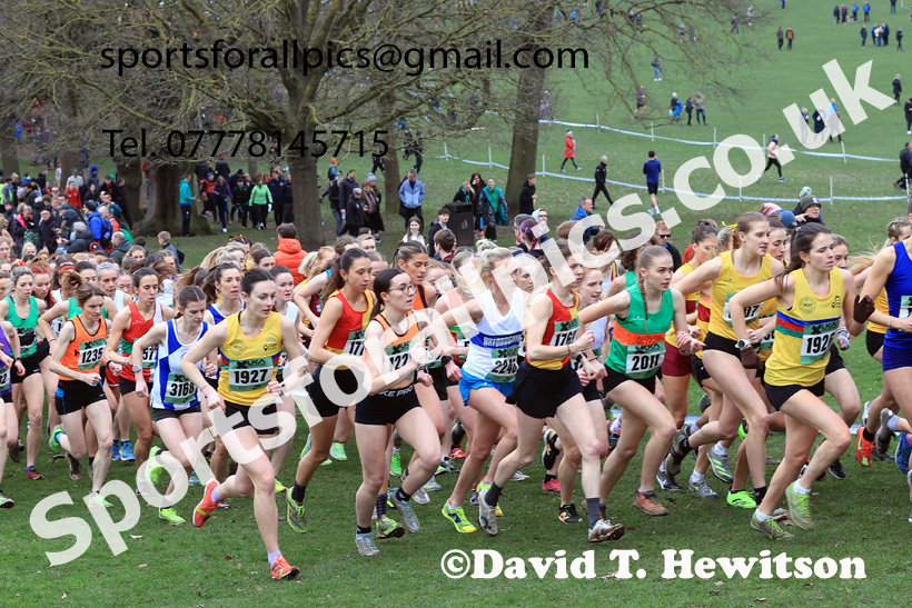 Senior Womens 2026 UK CAU Inter Counties Cross Country, Wollaton Park, Nottingham. Photo: David T. Hewitson/Sports for All Pics